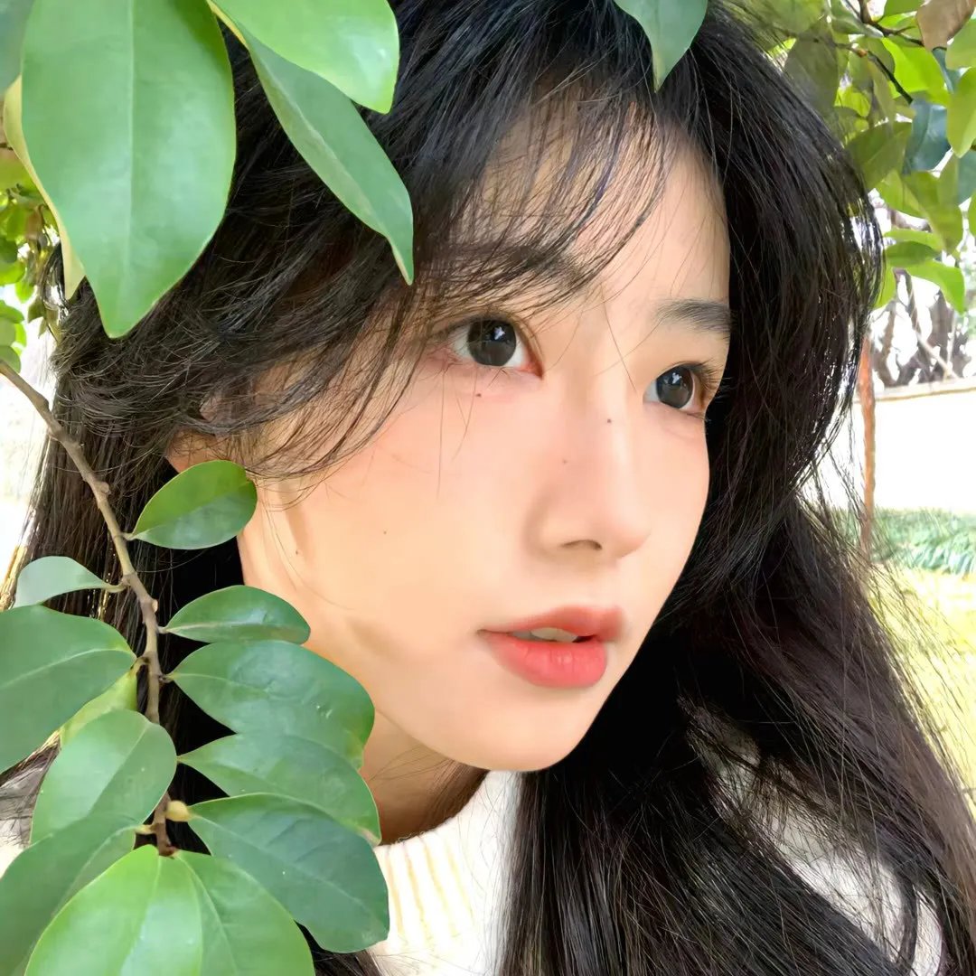 新罗曼蒂克
